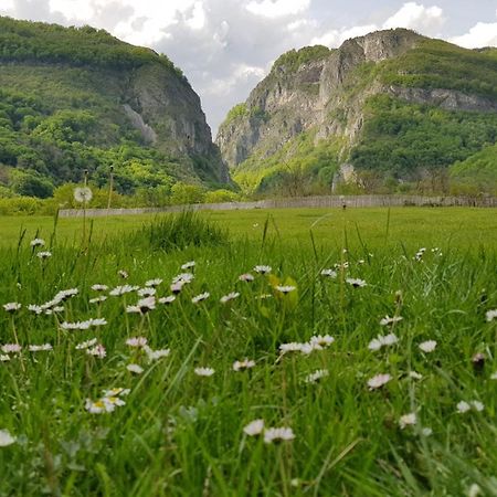 Pensiunea Miraj Polovragi Esterno foto