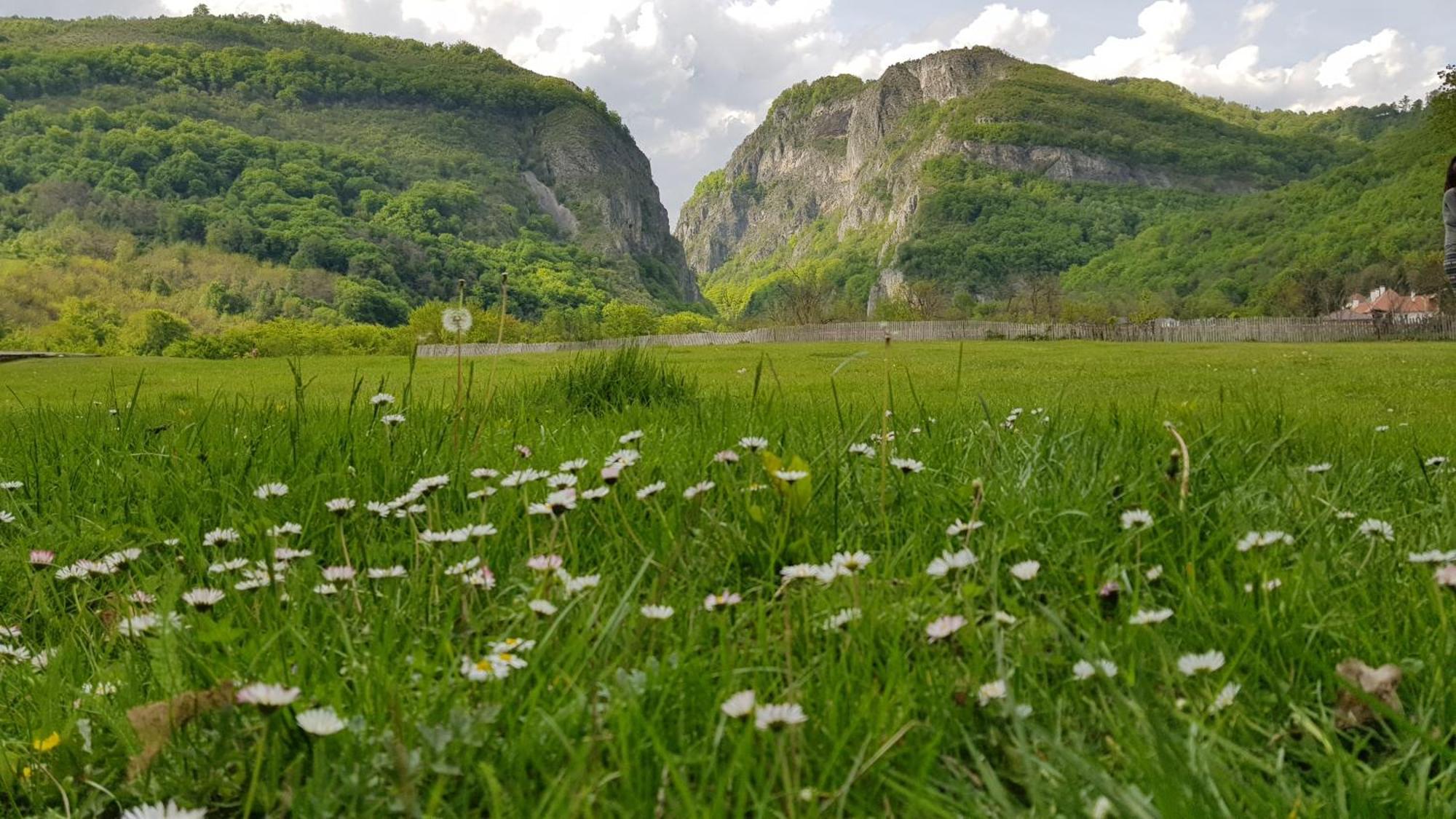 Pensiunea Miraj Polovragi Esterno foto