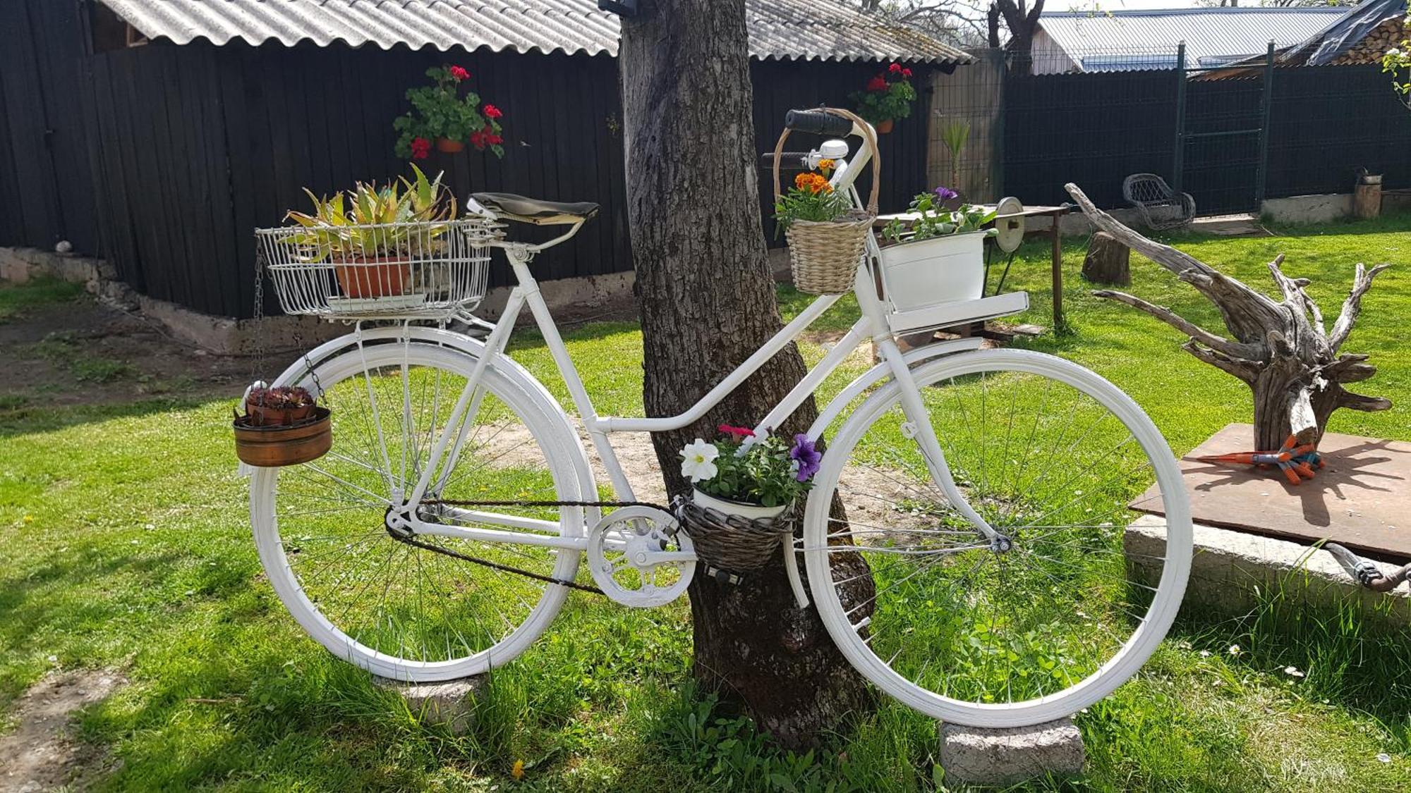 Pensiunea Miraj Polovragi Esterno foto